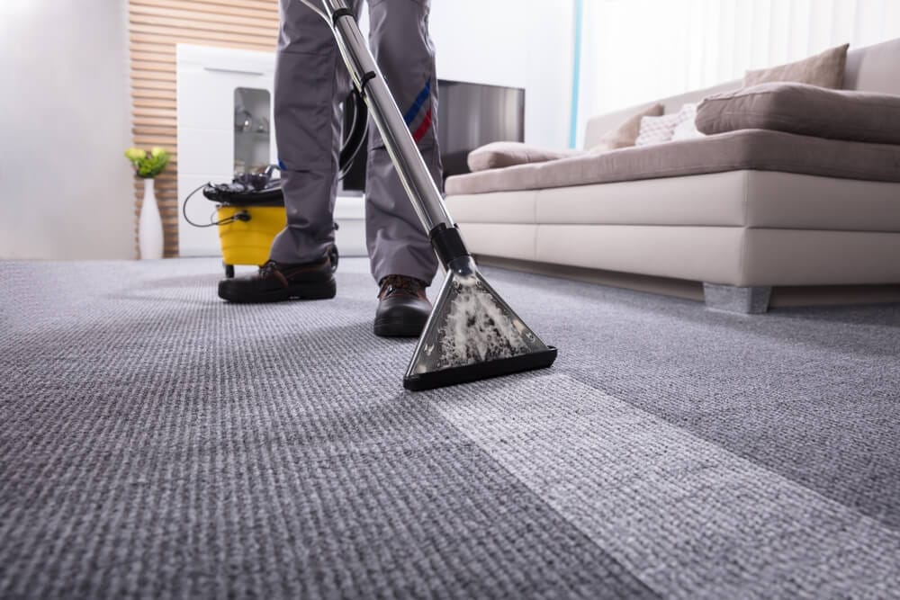 Carpet / Upholstery Cleaning Services in Austin